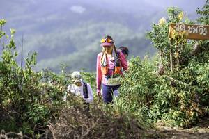 BIB: 2238
                            <button type="button" onclick="openModal(24765404)" class="btn btn-primary btn-sm float-right btn-popup" data-toggle="modal" data-target=".modal-high-quality">
                        <i class="fas fa-shopping-cart"></i> Add to Cart
                    </button>
                                            <button type="button" onclick="isThisMe(24765404, true)" class="btn btn-success btn-sm float-right btn-popup btn-isme hidden" data-toggle="tooltip" data-placement="bottom" title="นี่คือรูปของคุณใช่ไหม คลิกที่นี่เพื่อเอาเข้าอัลบั้ม">
                        <i class="fas fa-plus"></i> Add to album
                    </button>
                    <button type="button" onclick="isThisMe(24765404, false)" class="btn btn-warning btn-sm float-right btn-popup btn-isnotme hidden">
                        <i class="fas fa-ban"></i> Remove from album
                    </button>